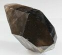 Large Dark Smoky Quartz Crystal - Brazil #34735-2